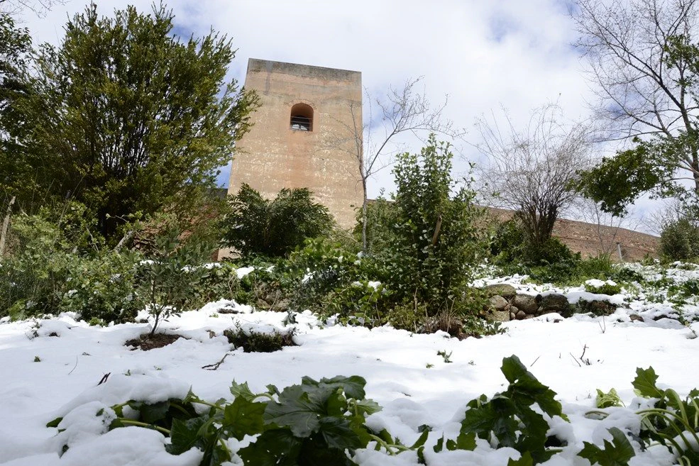 Die Alhambra: Schneefall in Granada