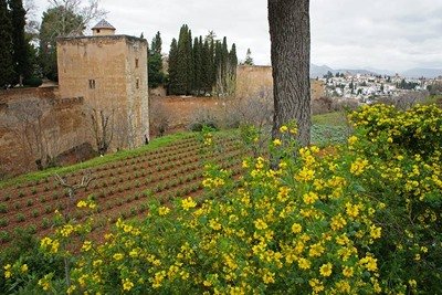 Agenda Cultural de marzo de 2018 en la Alhambra de Granada