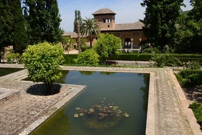 La Alhambra de Granada, protege a sus anfibios