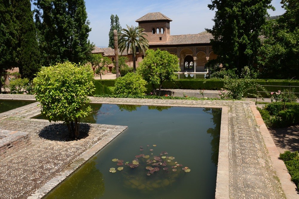 La Alhambra de Granada, protege a sus anfibios
