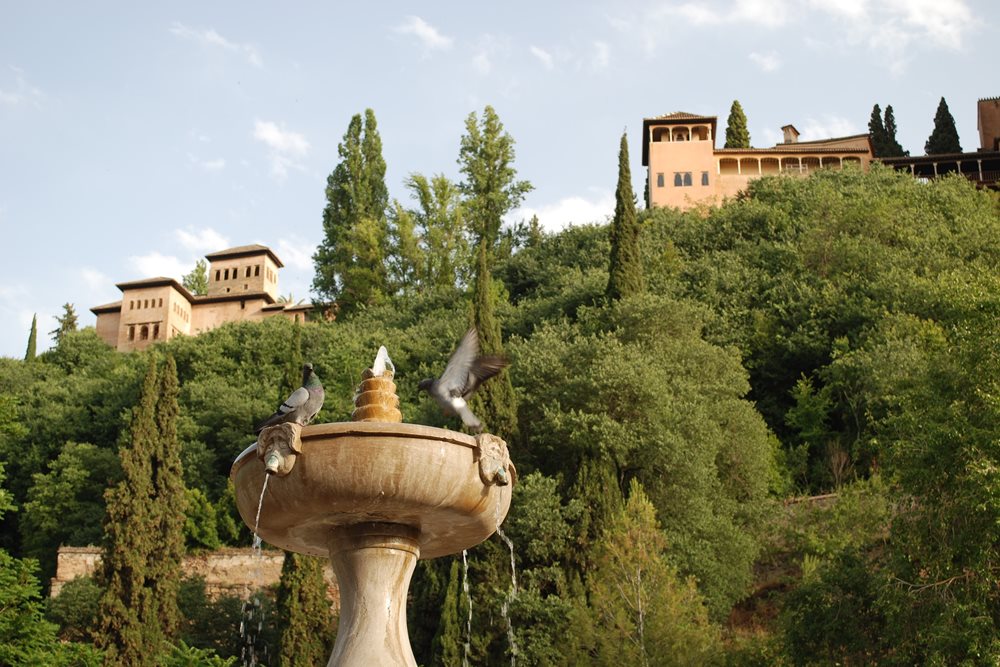 Granada: mejor con guía
