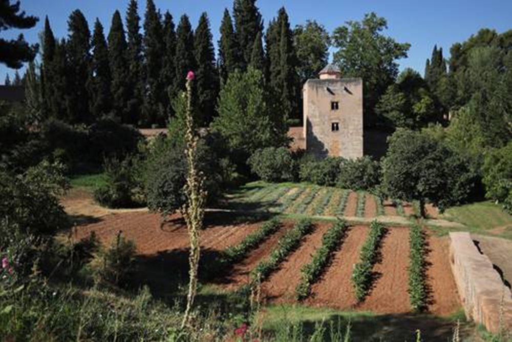 Huertas del Generalife - Patronato de la Alhambra y Generalife