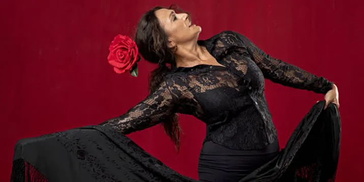 Espectáculo flamenco en Granada