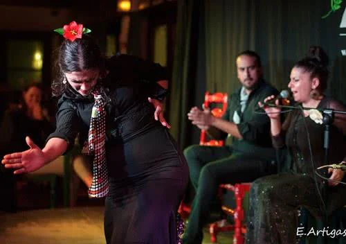 Renseignements et réservations pour un spectacle flamenco à Grenade.