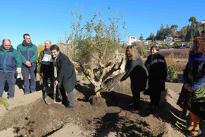 Plantando el granado (foto: Radiogranada.es)